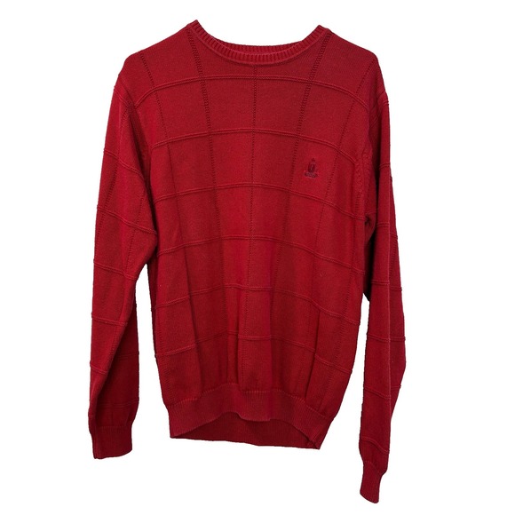 Izod Other - Vintage‎ IZOD Sweater Men's Medium Red Pattern Knit Pullover Box Pattern Casual